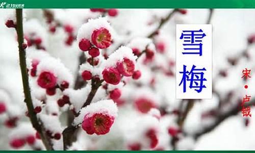 雪梅古诗的意思翻译简单_雪梅古诗的意思翻