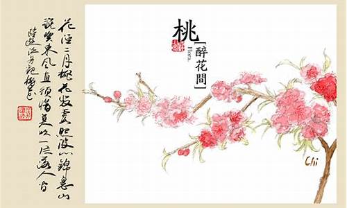 醉花间古诗_醉花间古诗及译文解析