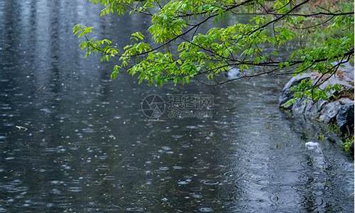 清明时节雨纷纷的意思_清明时节雨纷纷,路