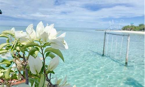 海子面朝大海春暖花开_海子面朝大海春暖花