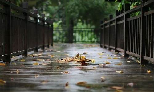 关于秋雨的诗句有哪些_关于秋雨的诗句有哪