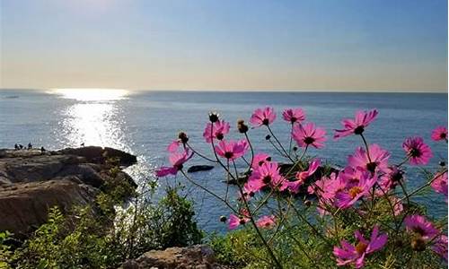 面朝大海春暖花开海子_面朝大海春暖花开海