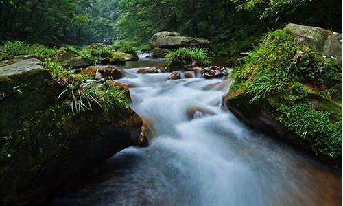 索溪峪的野_索溪峪的野课文原文